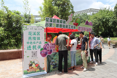 花溪區燕樓鎮谷蒙村 駐村工作隊變身“推銷員”，打通農產品銷售最后一公里